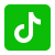 tiktok icon