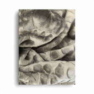 Embossed mink blanket with a soft texture and raised pattern.